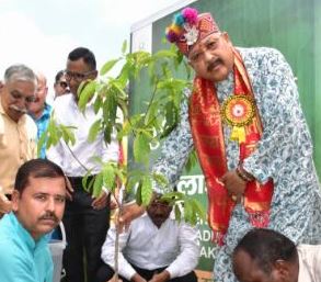 संस्कृति मंत्री महाराज ने लोकपर्व ‘हरेला’ पर किया वृक्षारोपण