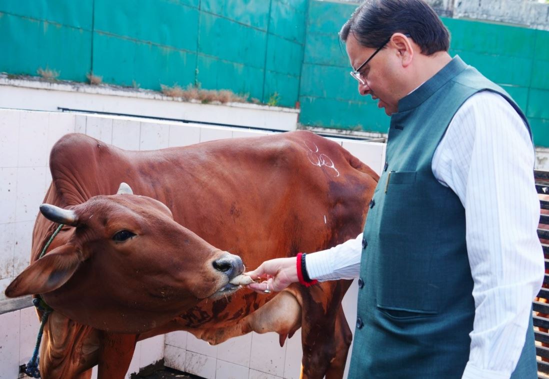 मुख्यमंत्री धामी ने गोवर्धन पूजा पर गौ माता की आराधना की, कहा – पर्व को भक्ति व पर्यावरण प्रेम से मनाएं।