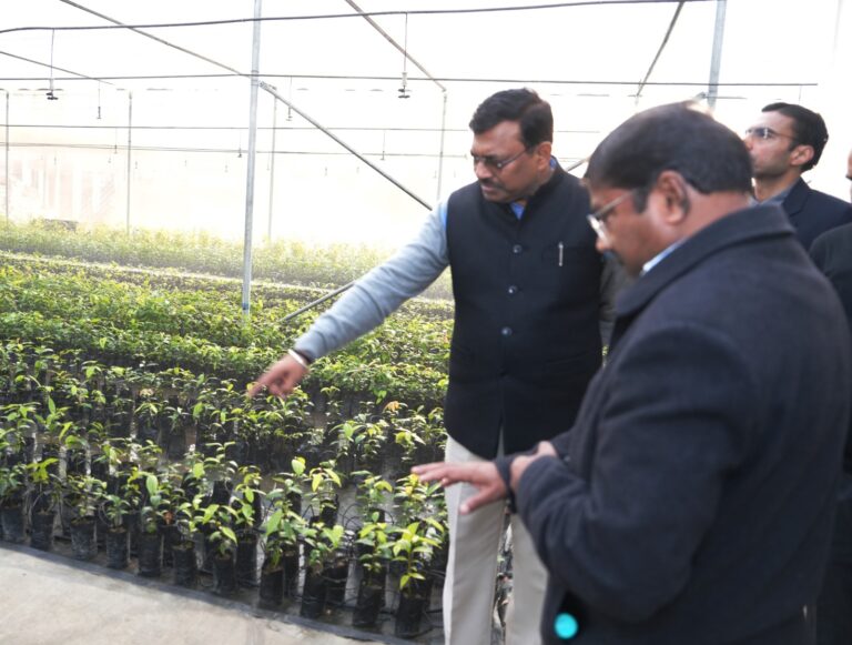 सेलाकुई, देहरादून में सगन्ध पौधा केंद्र का निरीक्षण करते हुए मुख्य सचिव ने केंद्र के कार्यों की जानकारी ली।